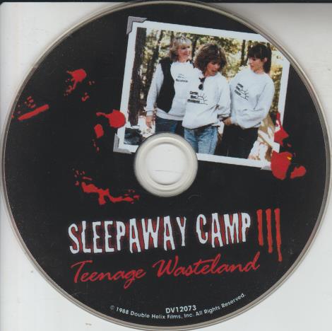 Sleepaway Camp: Teenage Wasteland 3 w/ No Artwork