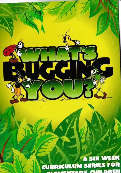 What's Bugging You? A Six Week Curriculum Series For Elementary Children 2-Disc Set