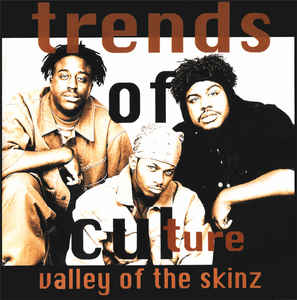 Trends Of Culture: Valley Of The Skinz Promo w/ Artwork