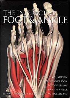 Interactive Foot & Ankle 2