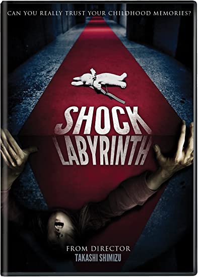 Shock Labyrinth