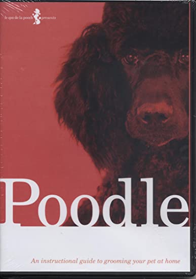 Poodle: An Instructional Guide To Grooming Your Pet At Home