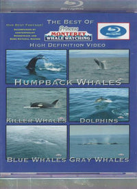 Princess Monterey Whale Watching: The Best Of