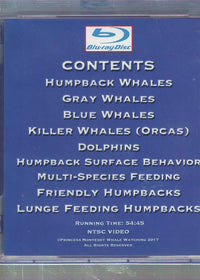 Princess Monterey Whale Watching: The Best Of