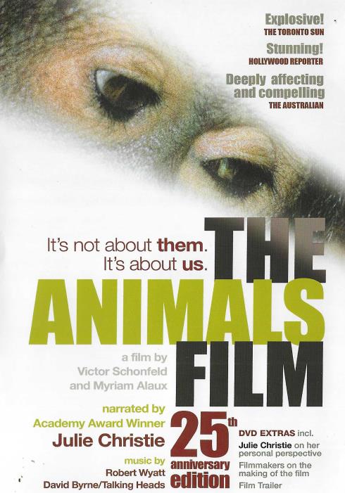 The Animals Film