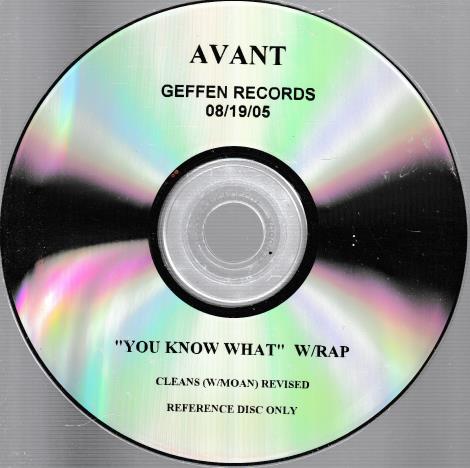 Avant: You Know What Promo