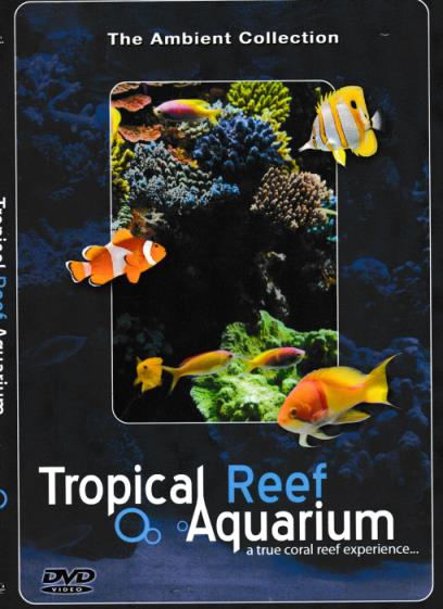 Tropical Reef Aquarium: A True Coral Reef Experience: The Ambient Collection