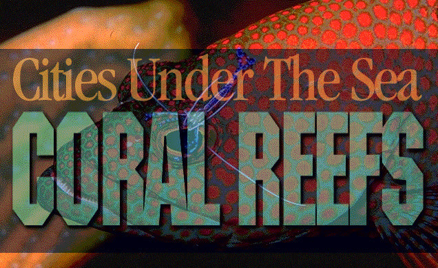 Cities Under The Sea: Coral Reefs w/ Manual